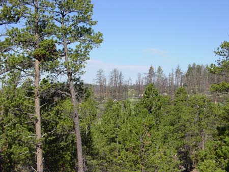 02_jcnm_20050606