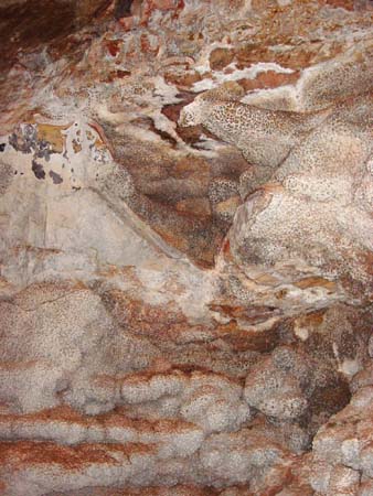 35_jcnm_20050606a