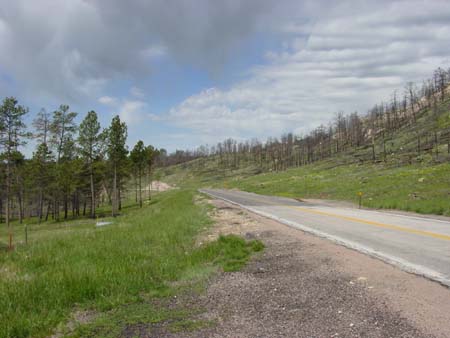 41_jcnm_20050606
