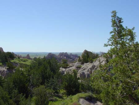 17_bnp_20050608