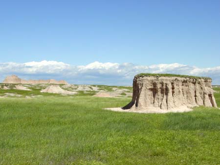40_bnp_20050608