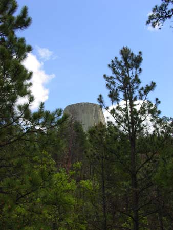 10_dtnm_20050609