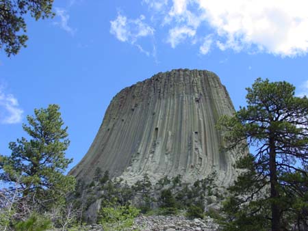12_dtnm_20050609