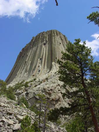 16_dtnm_20050609
