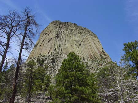 35_dtnm_20050609