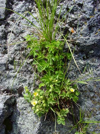 41_dtnm_20050609