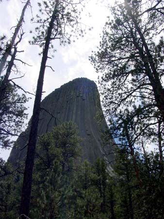 48_dtnm_20050609