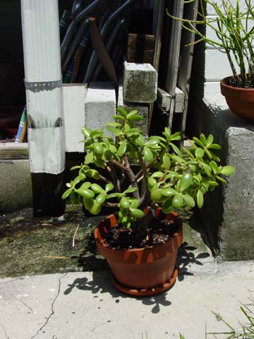 2004080910