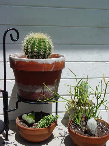 2004080913