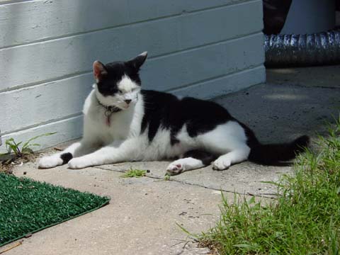2004080914
