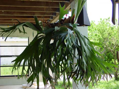 2004080920