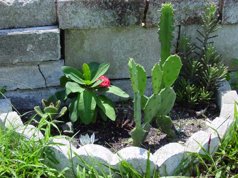 2004080929