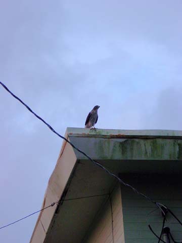 2004080908