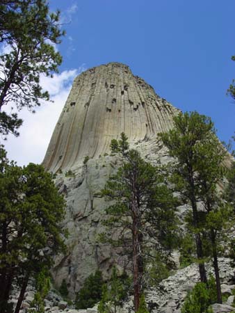 25_dtnm_20050609