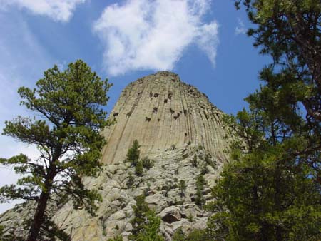 26_dtnm_20050609