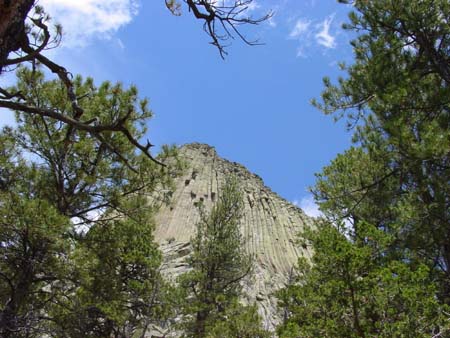 31_dtnm_20050609
