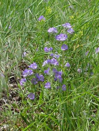 42_dtnm_20050609