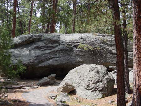 47_dtnm_20050609